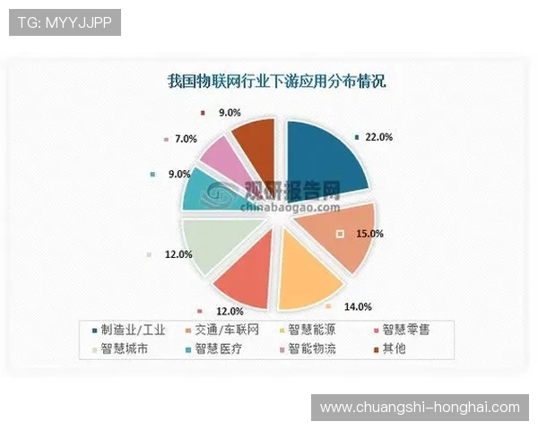 全面解析久宏娱乐的发展历程与未来前景
